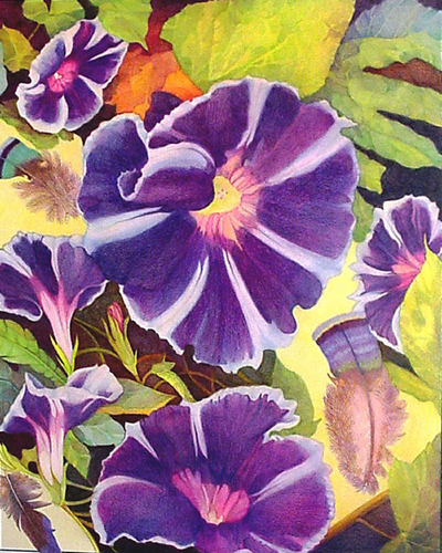 SANDRA BENNY Beach Morning Glories Drawing Colored Pencil SANDRA BENNY Beach Morning Glories Drawing Colored Pencil