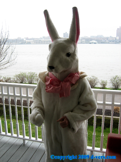 MACY''S Parade Rabbit Costume Original 1930s MINT MACY''S Parade Rabbit Costume Original 1930s MINT