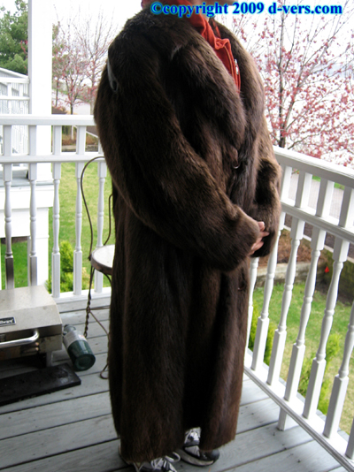 RACCOON Fur Coat Mens 1970 Female Raccoon Antique Vintage RACCOON Fur Coat Mens 1970 Female Raccoon Antique Vintage