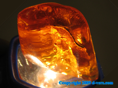 AMBER 2 Prehistoric Bugs Leaf Natural Quality Golden AMBER 2 Prehistoric Bugs Leaf Natural Quality Golden